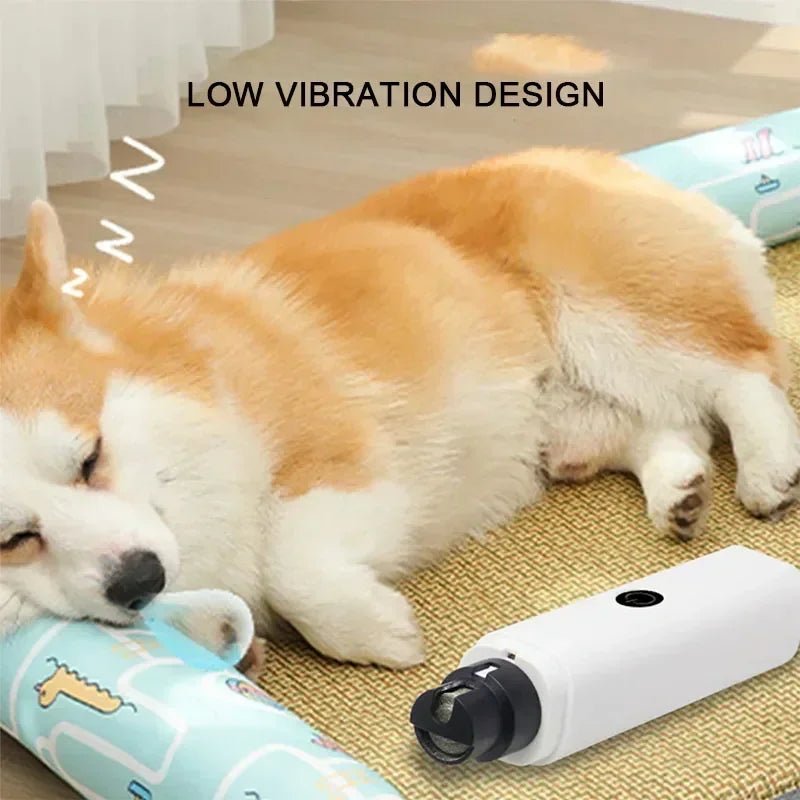 Image-OMINS:101308